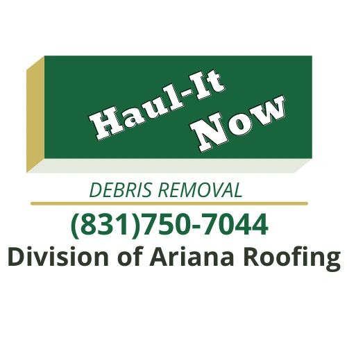 Haul-It Now - Haul Away, Hauling, Junk Removal Service